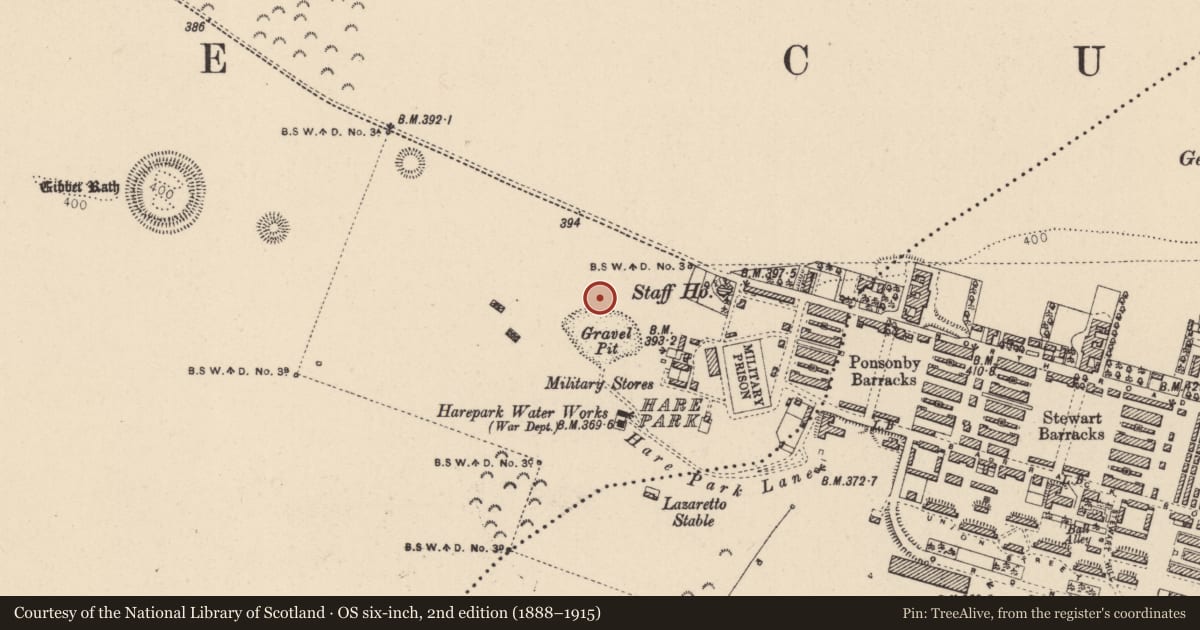 Ordnance Survey six-inch map, 2nd edition (1888–1915) covering the location of Enclosure, Curragh, County Kildare, with a pin at the register's coordinates