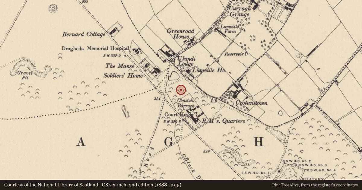 Ordnance Survey six-inch map, 2nd edition (1888–1915) covering the location of Enclosure, Curragh, County Kildare, with a pin at the register's coordinates