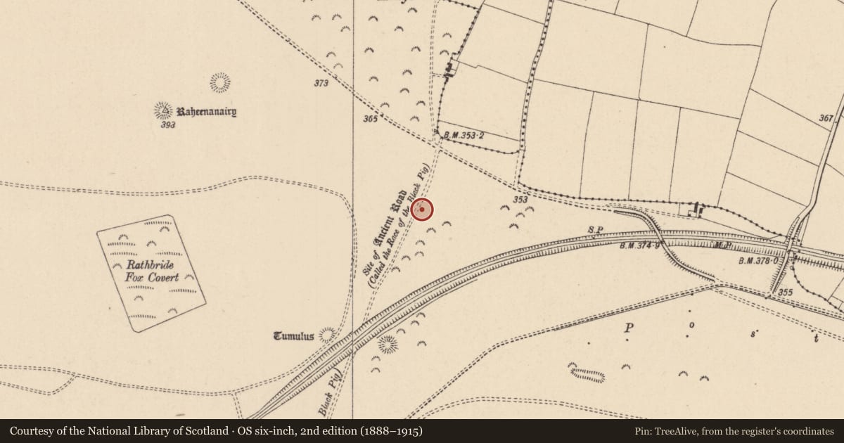 Ordnance Survey six-inch map, 2nd edition (1888–1915) covering the location of Barrow - ditch barrow, Curragh, County Kildare, with a pin at the register's coordinates