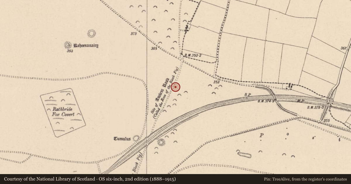 Ordnance Survey six-inch map, 2nd edition (1888–1915) covering the location of Barrow - ditch barrow, Curragh, County Kildare, with a pin at the register's coordinates