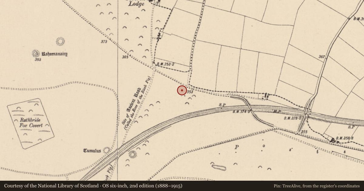 Ordnance Survey six-inch map, 2nd edition (1888–1915) covering the location of Barrow - ditch barrow, Curragh, County Kildare, with a pin at the register's coordinates