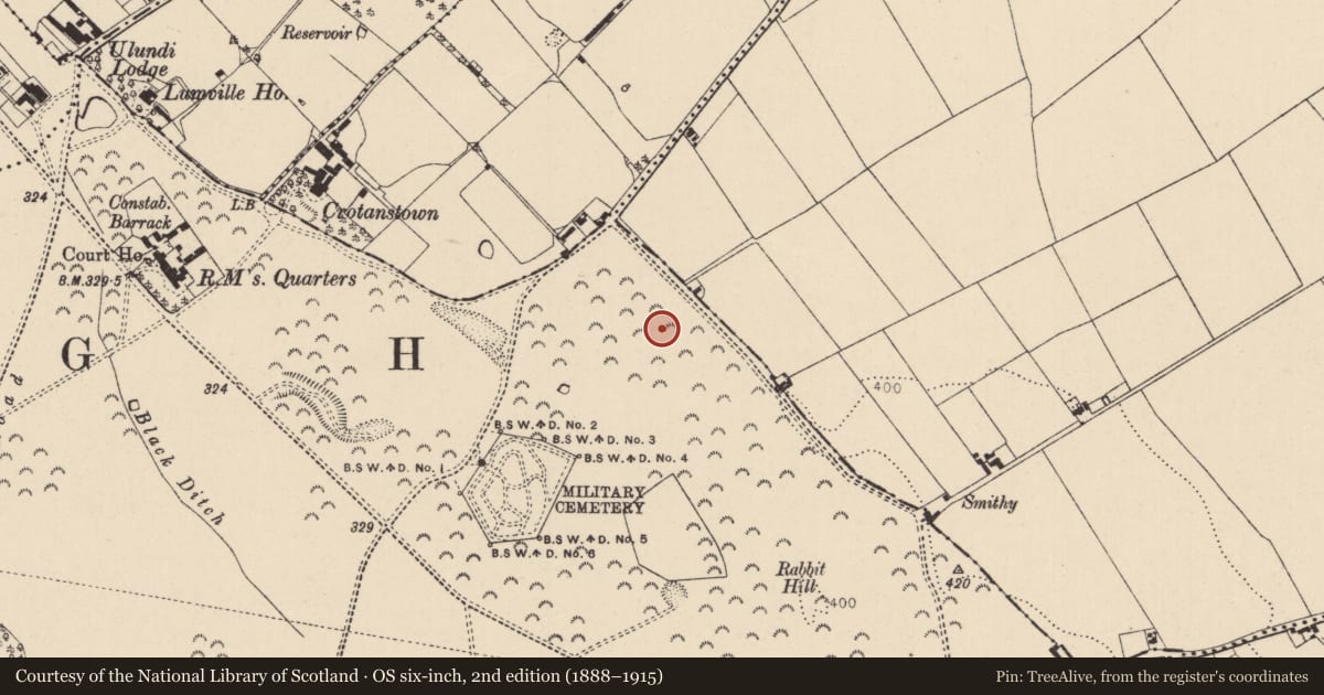Ordnance Survey six-inch map, 2nd edition (1888–1915) covering the location of Enclosure, Curragh, County Kildare, with a pin at the register's coordinates