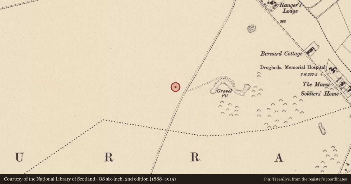 Ordnance Survey six-inch map, 2nd edition (1888–1915) covering the location of Barrow - ring-barrow, Curragh, County Kildare, with a pin at the register's coordinates