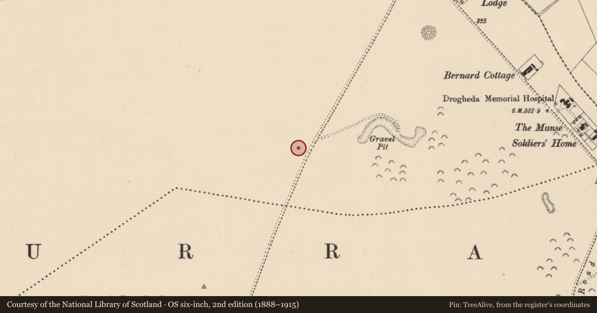 Ordnance Survey six-inch map, 2nd edition (1888–1915) covering the location of Barrow - ring-barrow, Curragh, County Kildare, with a pin at the register's coordinates