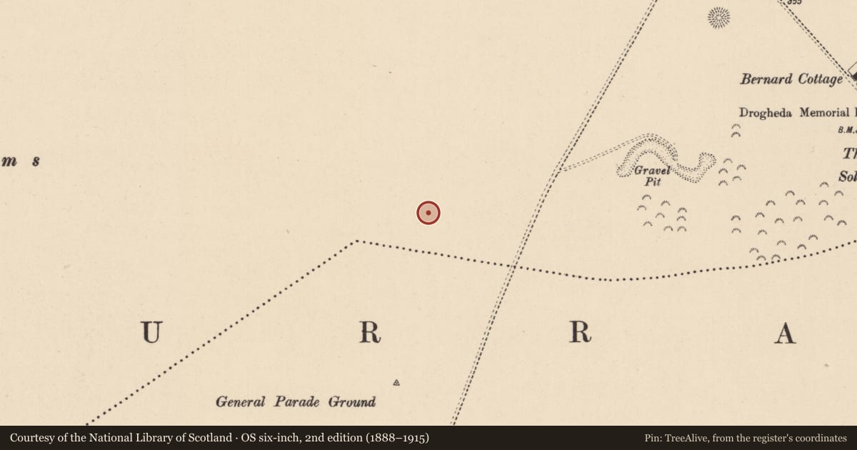 Ordnance Survey six-inch map, 2nd edition (1888–1915) covering the location of Barrow - stepped barrow, Curragh, County Kildare, with a pin at the register's coordinates