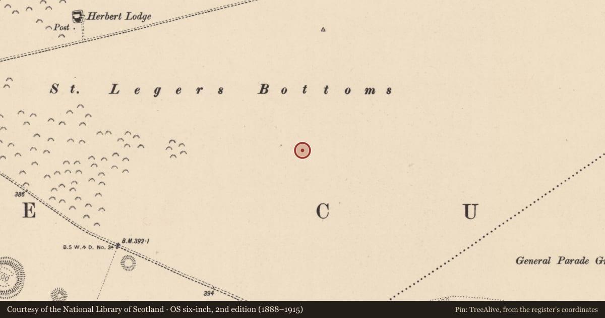 Ordnance Survey six-inch map, 2nd edition (1888–1915) covering the location of Mound, Curragh, County Kildare, with a pin at the register's coordinates