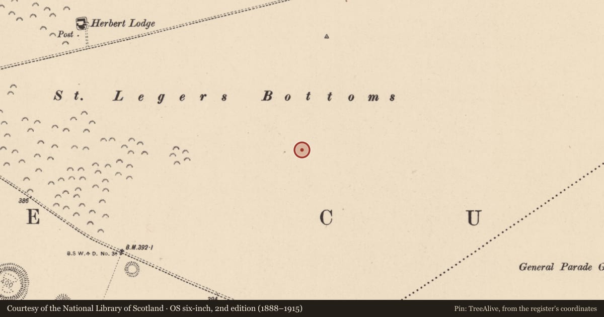 Ordnance Survey six-inch map, 2nd edition (1888–1915) covering the location of Hut site, Curragh, County Kildare, with a pin at the register's coordinates