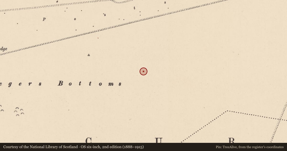 Ordnance Survey six-inch map, 2nd edition (1888–1915) covering the location of Mound, Curragh, County Kildare, with a pin at the register's coordinates