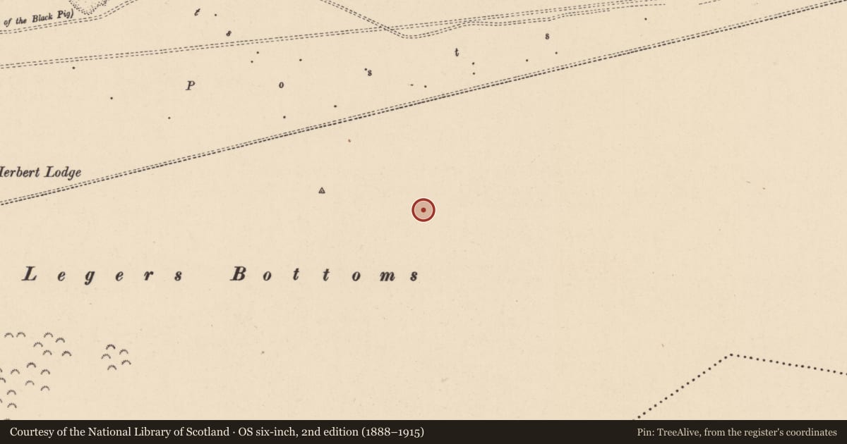 Ordnance Survey six-inch map, 2nd edition (1888–1915) covering the location of Barrow - ditch barrow, Curragh, County Kildare, with a pin at the register's coordinates