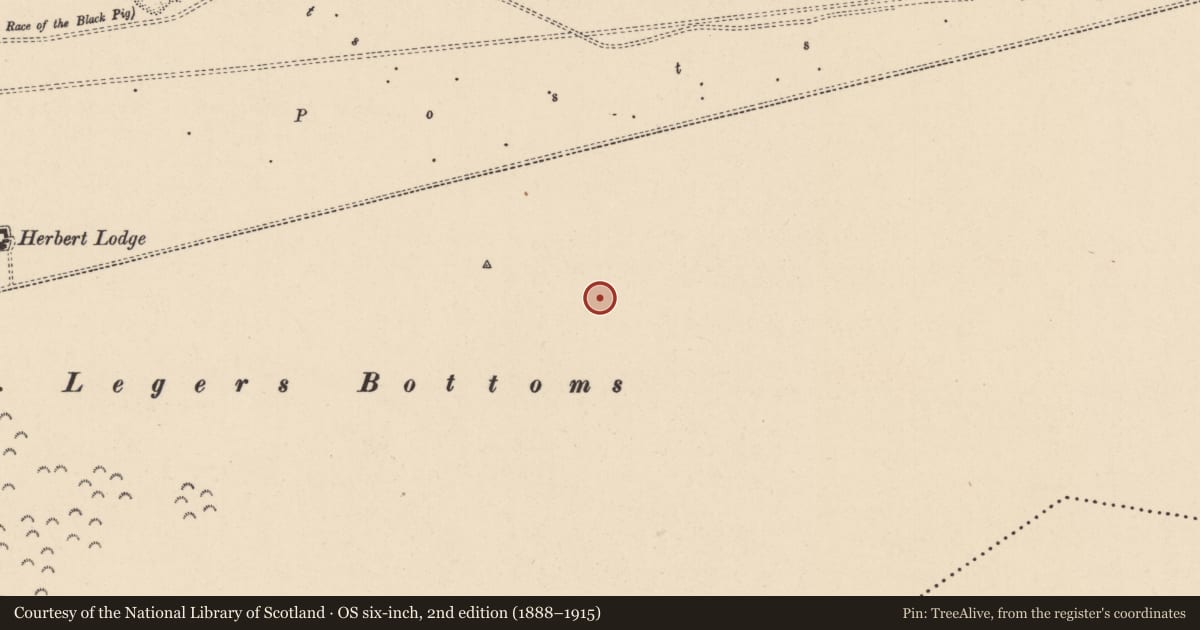 Ordnance Survey six-inch map, 2nd edition (1888–1915) covering the location of Mound, Curragh, County Kildare, with a pin at the register's coordinates