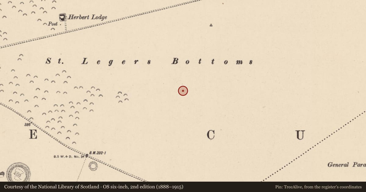 Ordnance Survey six-inch map, 2nd edition (1888–1915) covering the location of Settlement cluster, Curragh, County Kildare, with a pin at the register's coordinates