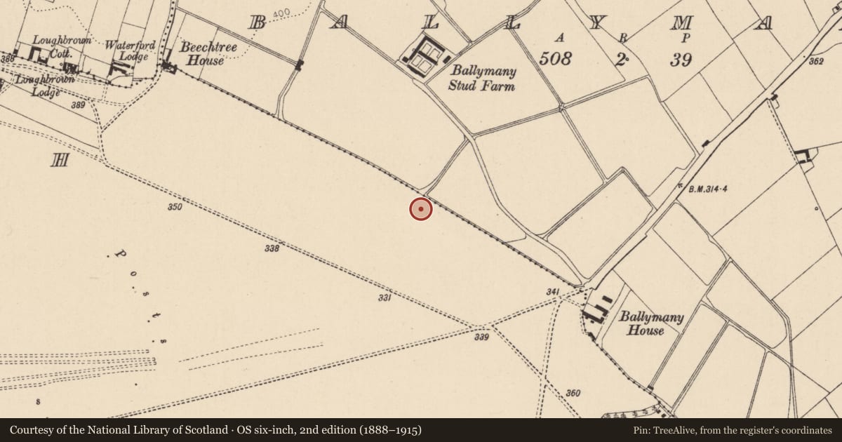Ordnance Survey six-inch map, 2nd edition (1888–1915) covering the location of Barrow - ring-barrow, Curragh, County Kildare, with a pin at the register's coordinates