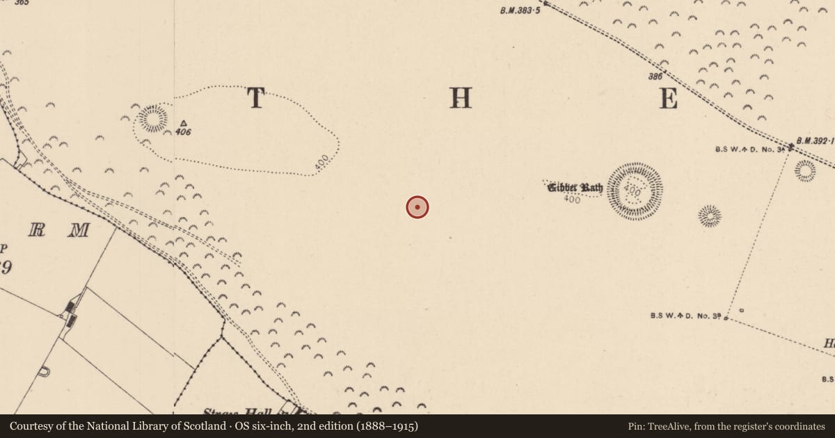Ordnance Survey six-inch map, 2nd edition (1888–1915) covering the location of Enclosure, Curragh, County Kildare, with a pin at the register's coordinates