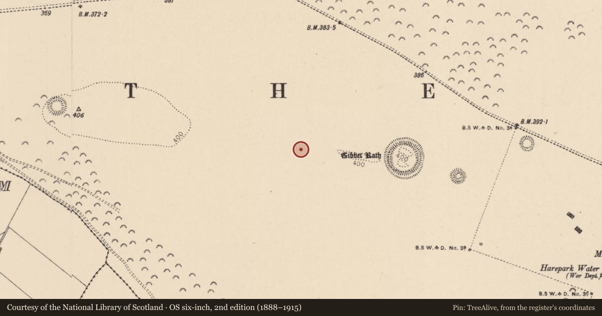 Ordnance Survey six-inch map, 2nd edition (1888–1915) covering the location of Hut site, Curragh, County Kildare, with a pin at the register's coordinates