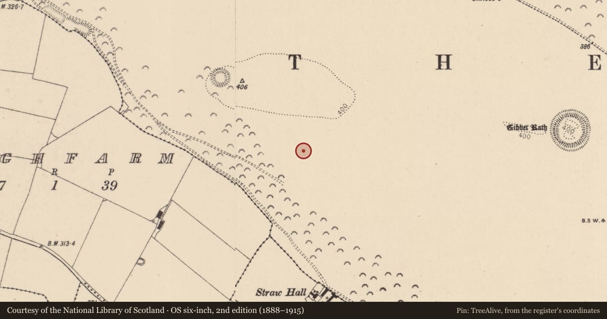 Ordnance Survey six-inch map, 2nd edition (1888–1915) covering the location of Mound, Curragh, County Kildare, with a pin at the register's coordinates