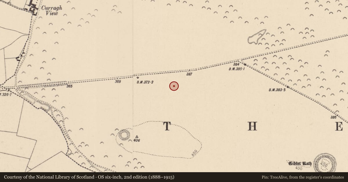 Ordnance Survey six-inch map, 2nd edition (1888–1915) covering the location of Burnt pit, Curragh, County Kildare, with a pin at the register's coordinates