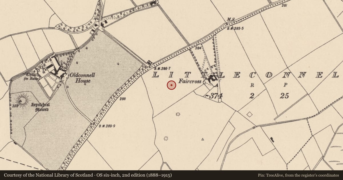 Ordnance Survey six-inch map, 2nd edition (1888–1915) covering the location of Burial, Littleconnell, County Kildare, with a pin at the register's coordinates