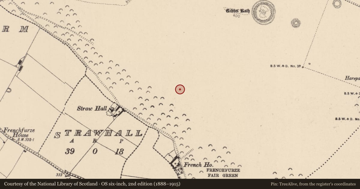 Ordnance Survey six-inch map, 2nd edition (1888–1915) covering the location of Burial, Curragh, County Kildare, with a pin at the register's coordinates