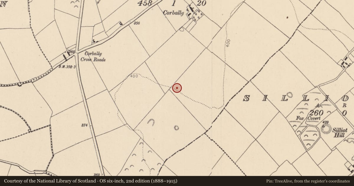 Ordnance Survey six-inch map, 2nd edition (1888–1915) covering the location of House - Neolithic, Corbally, County Kildare, with a pin at the register's coordinates