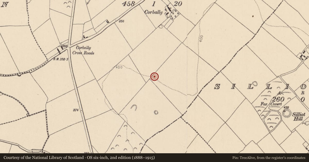 Ordnance Survey six-inch map, 2nd edition (1888–1915) covering the location of House - Neolithic, Corbally, County Kildare, with a pin at the register's coordinates
