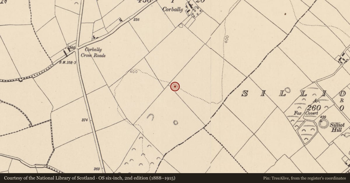 Ordnance Survey six-inch map, 2nd edition (1888–1915) covering the location of House - Neolithic, Corbally, County Kildare, with a pin at the register's coordinates