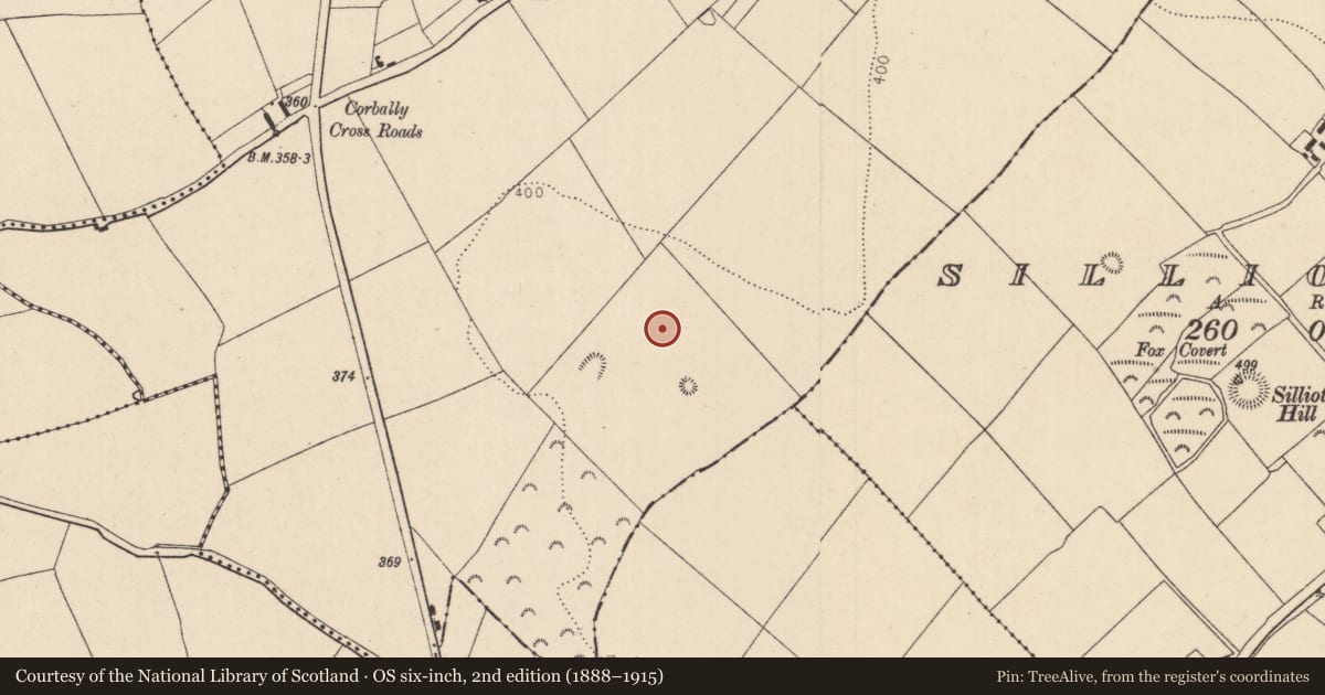 Ordnance Survey six-inch map, 2nd edition (1888–1915) covering the location of House - Neolithic, Corbally, County Kildare, with a pin at the register's coordinates