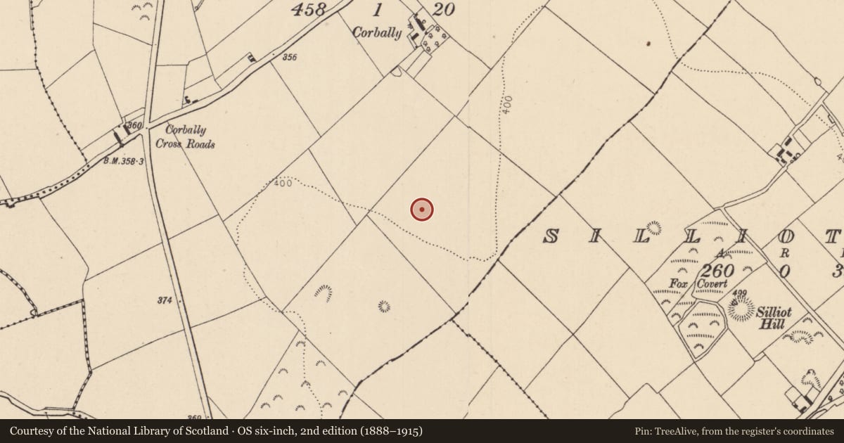Ordnance Survey six-inch map, 2nd edition (1888–1915) covering the location of Burial, Corbally, County Kildare, with a pin at the register's coordinates