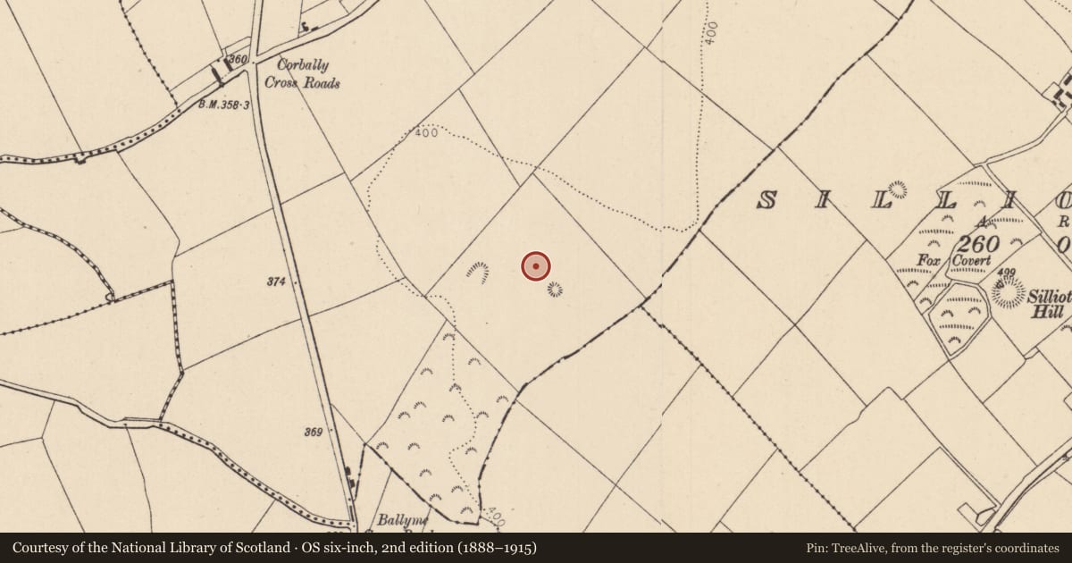 Ordnance Survey six-inch map, 2nd edition (1888–1915) covering the location of Burial, Corbally, County Kildare, with a pin at the register's coordinates