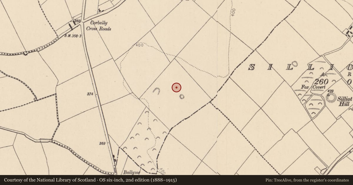 Ordnance Survey six-inch map, 2nd edition (1888–1915) covering the location of Burial, Corbally, County Kildare, with a pin at the register's coordinates