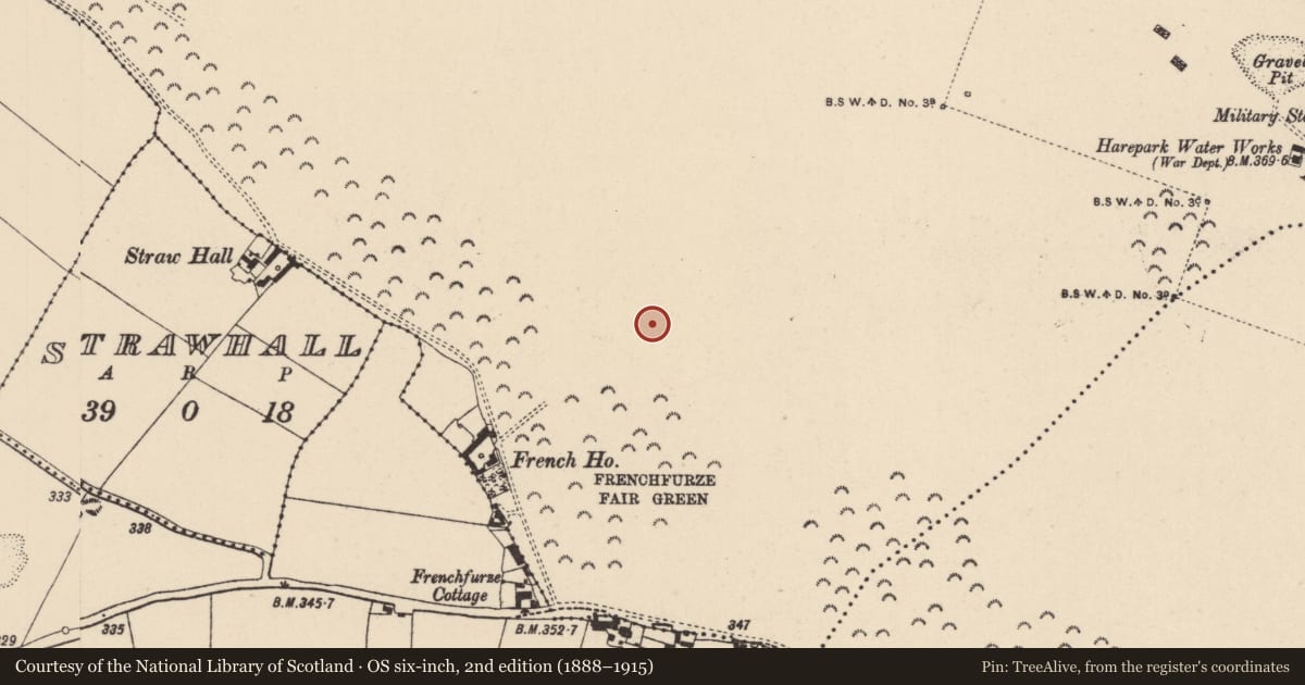 Ordnance Survey six-inch map, 2nd edition (1888–1915) covering the location of Cremation pit, Curragh, County Kildare, with a pin at the register's coordinates