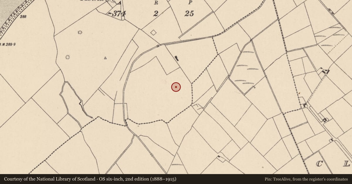 Ordnance Survey six-inch map, 2nd edition (1888–1915) covering the location of Field system, Clownings, Littleconnell, County Kildare, with a pin at the register's coordinates