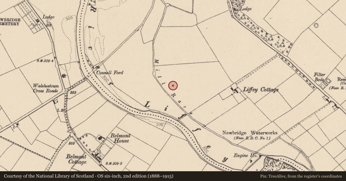 Ordnance Survey six-inch map, 2nd edition (1888–1915) covering the location of Enclosure, Greatconnell, County Kildare, with a pin at the register's coordinates