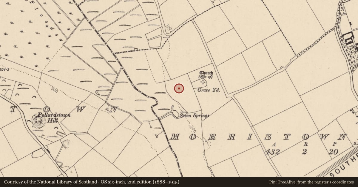 Ordnance Survey six-inch map, 2nd edition (1888–1915) covering the location of Prehistoric site - lithic scatter, Morristownbiller, County Kildare, with a pin at the register's coordinates