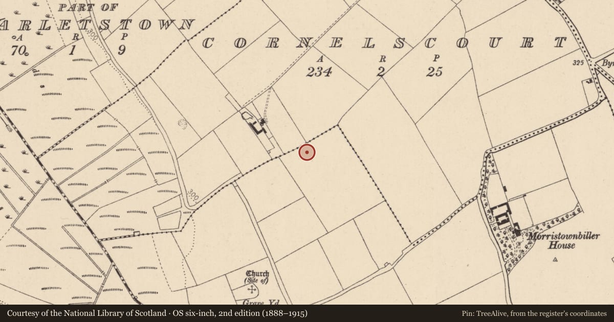 Ordnance Survey six-inch map, 2nd edition (1888–1915) covering the location of Ringfort - unclassified, Morristownbiller, County Kildare, with a pin at the register's coordinates