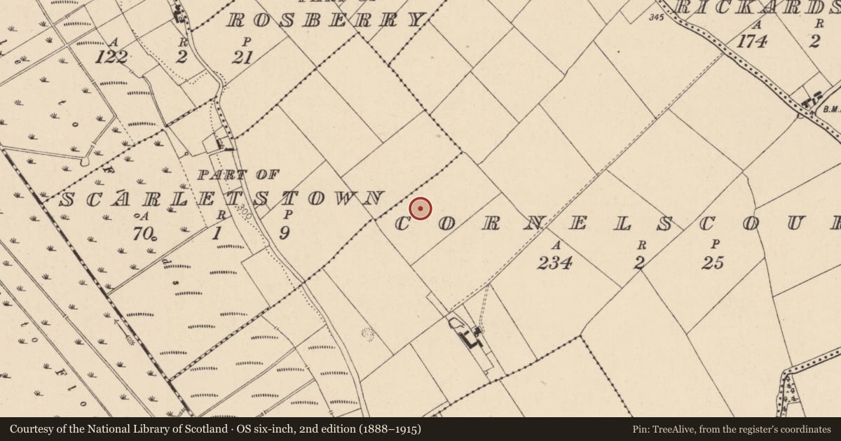 Ordnance Survey six-inch map, 2nd edition (1888–1915) covering the location of Ringfort - unclassified, Cornelscourt, County Kildare, with a pin at the register's coordinates