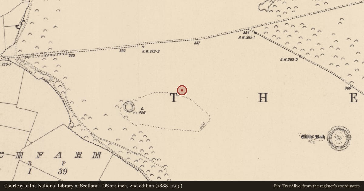 Ordnance Survey six-inch map, 2nd edition (1888–1915) covering the location of Barrow - ring-barrow, Curragh, County Kildare, with a pin at the register's coordinates
