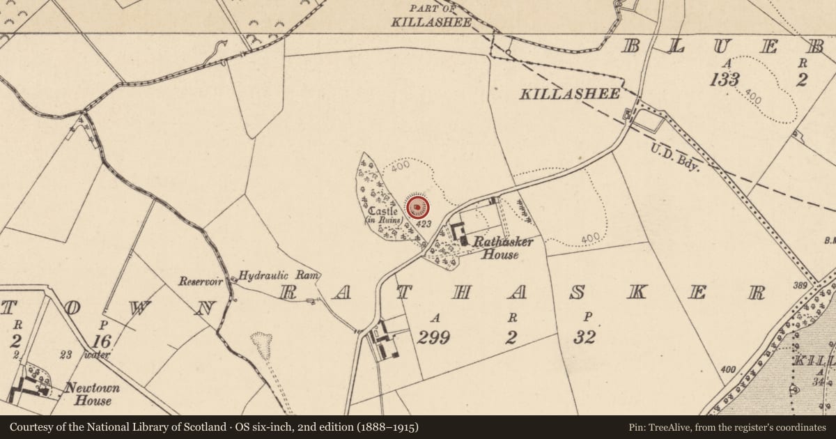 Ordnance Survey six-inch map, 2nd edition (1888–1915) covering the location of Castle - unclassified, Rathasker, County Kildare, with a pin at the register's coordinates