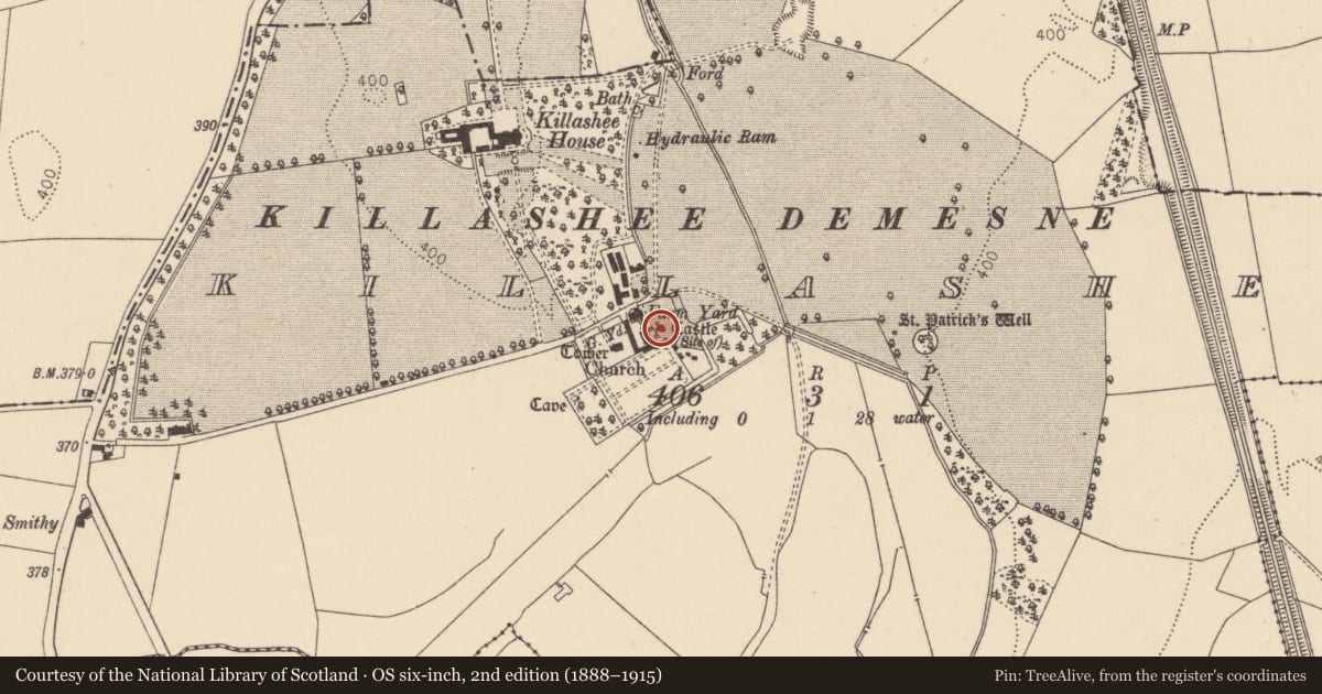Ordnance Survey six-inch map, 2nd edition (1888–1915) covering the location of Castle - unclassified, Killashee, County Kildare, with a pin at the register's coordinates