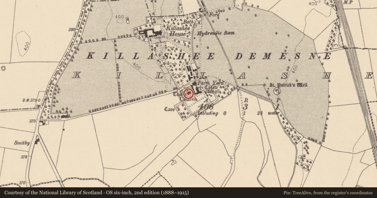 Ordnance Survey six-inch map, 2nd edition (1888–1915) covering the location of Church, Killashee, County Kildare, with a pin at the register's coordinates