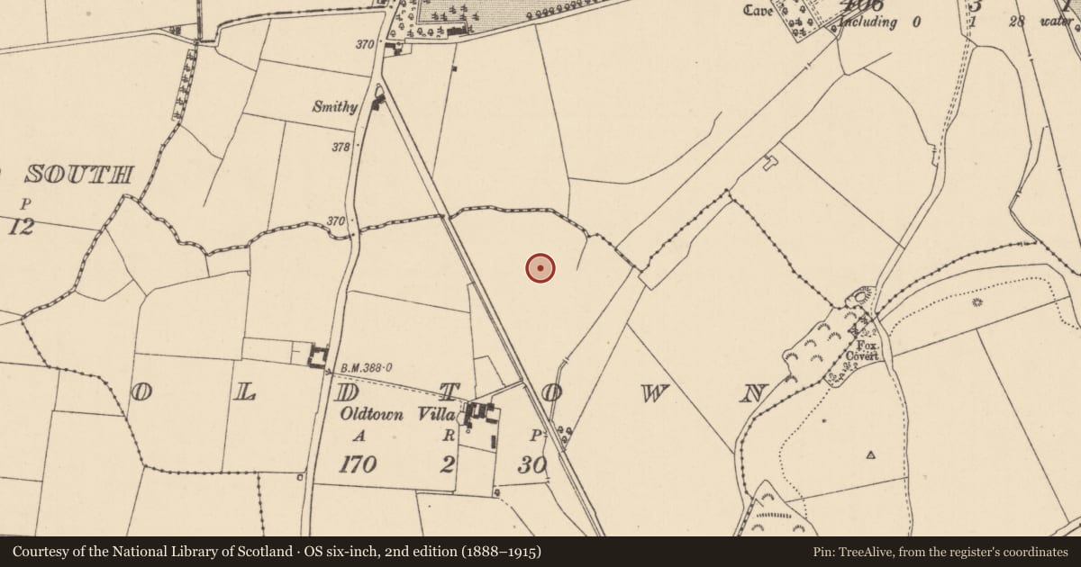 Ordnance Survey six-inch map, 2nd edition (1888–1915) covering the location of Ringfort - rath, Oldtown, County Kildare, with a pin at the register's coordinates