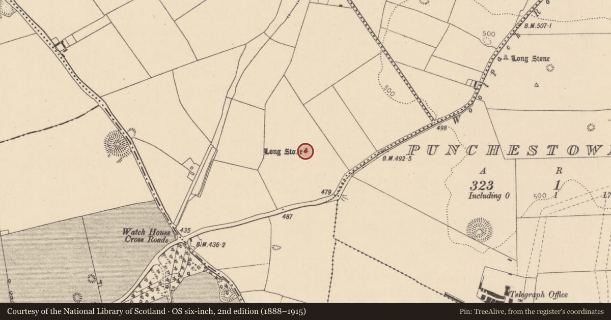 Ordnance Survey six-inch map, 2nd edition (1888–1915) covering the location of Standing stone, Cradockstown West, County Kildare, with a pin at the register's coordinates
