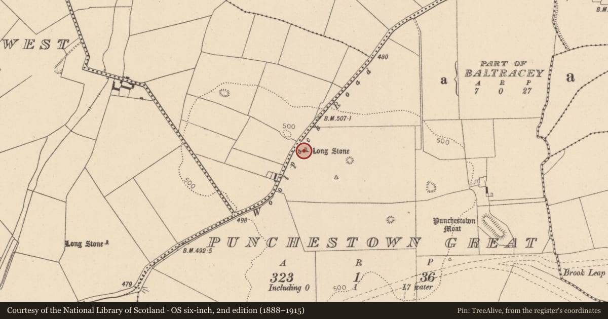 Ordnance Survey six-inch map, 2nd edition (1888–1915) covering the location of Cist, Punchestown Great, County Kildare, with a pin at the register's coordinates