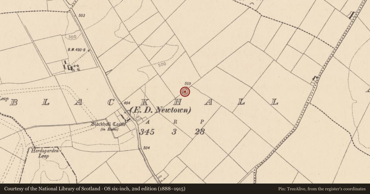 Ordnance Survey six-inch map, 2nd edition (1888–1915) covering the location of Ringfort - rath, Blackhall, County Kildare, with a pin at the register's coordinates