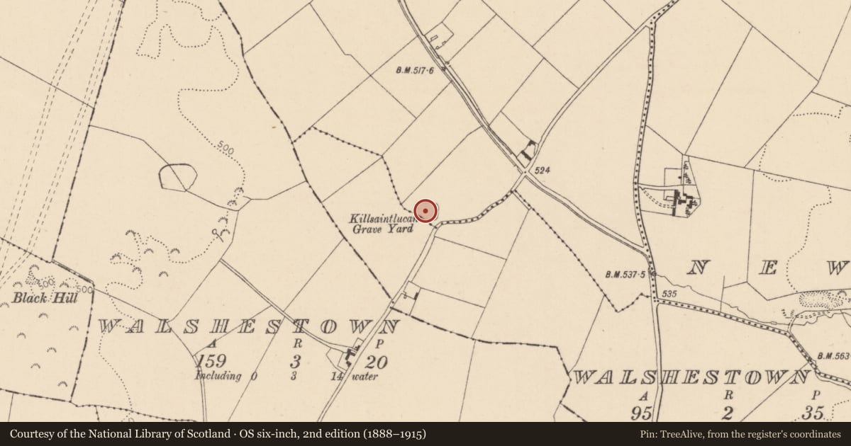 Ordnance Survey six-inch map, 2nd edition (1888–1915) covering the location of Graveyard, Blackhall, County Kildare, with a pin at the register's coordinates