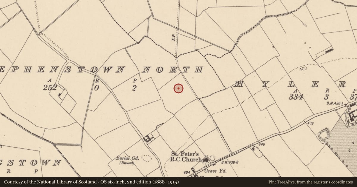 Ordnance Survey six-inch map, 2nd edition (1888–1915) covering the location of Enclosure, Stephenstown North, County Kildare, with a pin at the register's coordinates