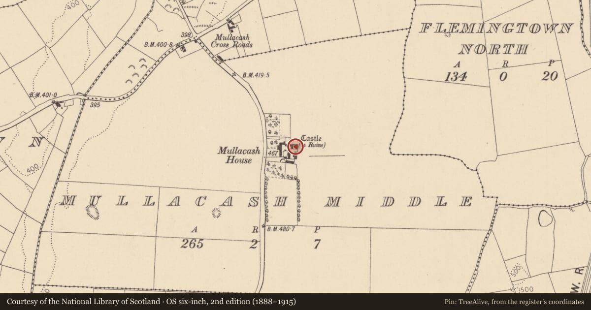 Ordnance Survey six-inch map, 2nd edition (1888–1915) covering the location of Castle - unclassified, Mullacash Middle, County Kildare, with a pin at the register's coordinates