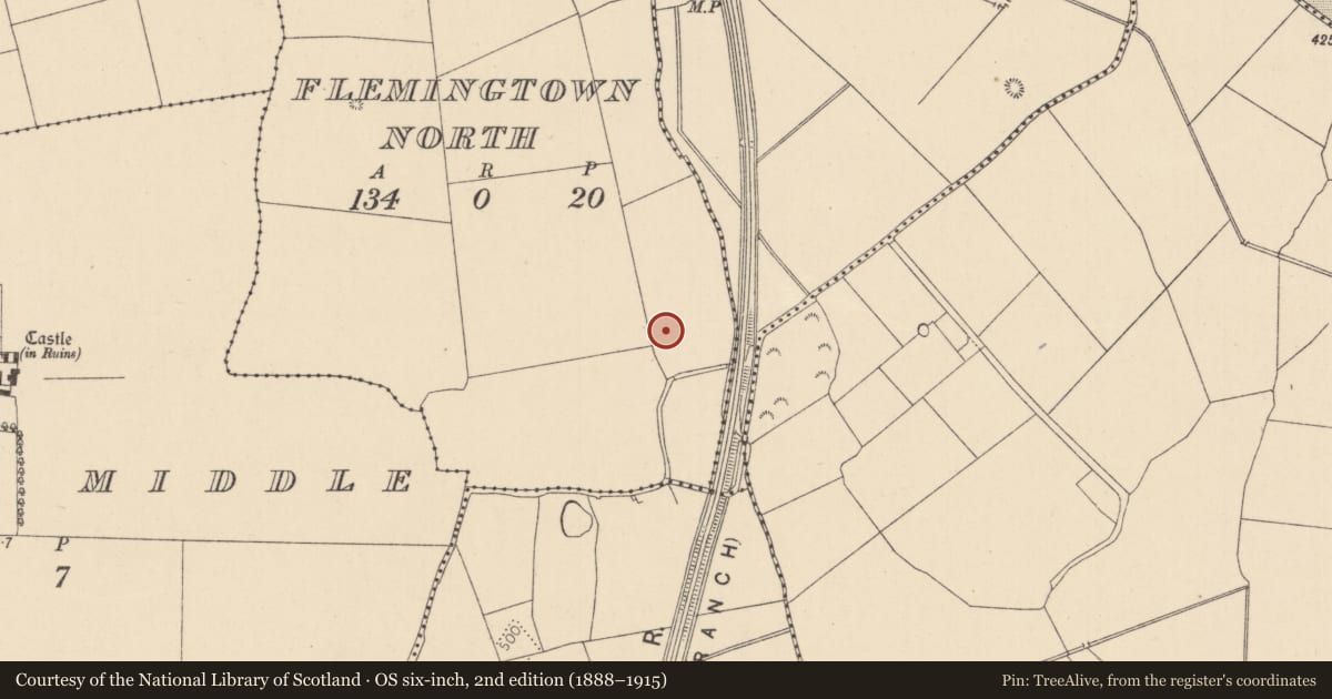 Ordnance Survey six-inch map, 2nd edition (1888–1915) covering the location of Castle - unclassified, Flemingstown North, County Kildare, with a pin at the register's coordinates