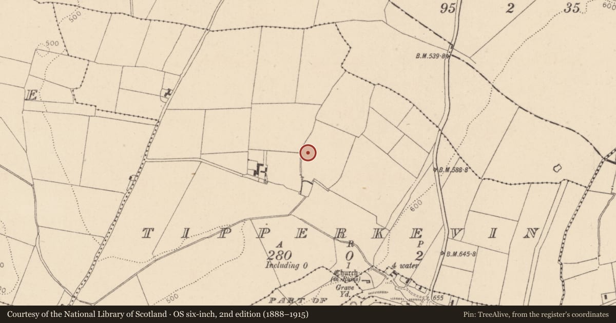 Ordnance Survey six-inch map, 2nd edition (1888–1915) covering the location of Moated site, Tipperkevin, County Kildare, with a pin at the register's coordinates