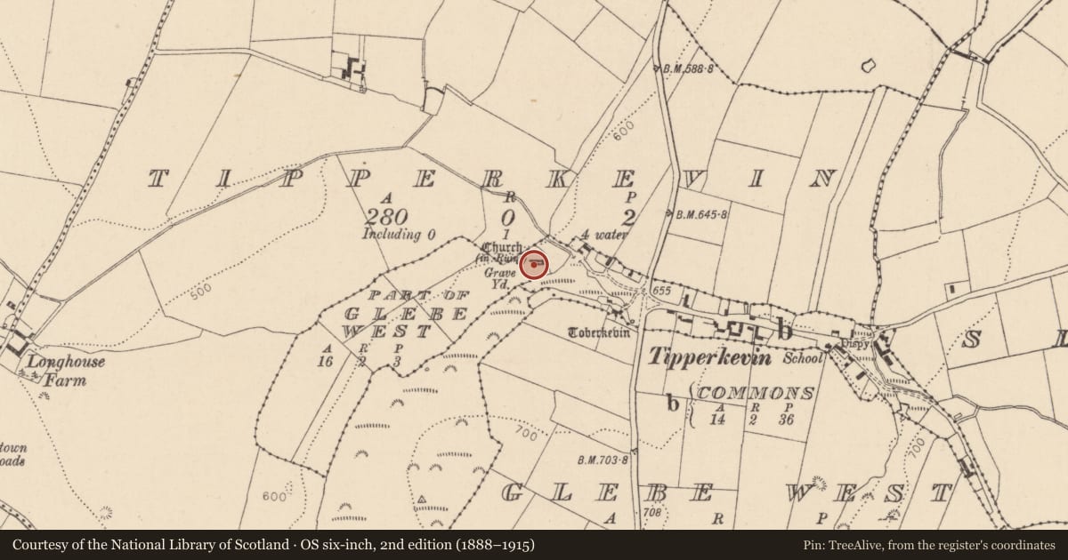 Ordnance Survey six-inch map, 2nd edition (1888–1915) covering the location of Church, Commons, County Kildare, with a pin at the register's coordinates