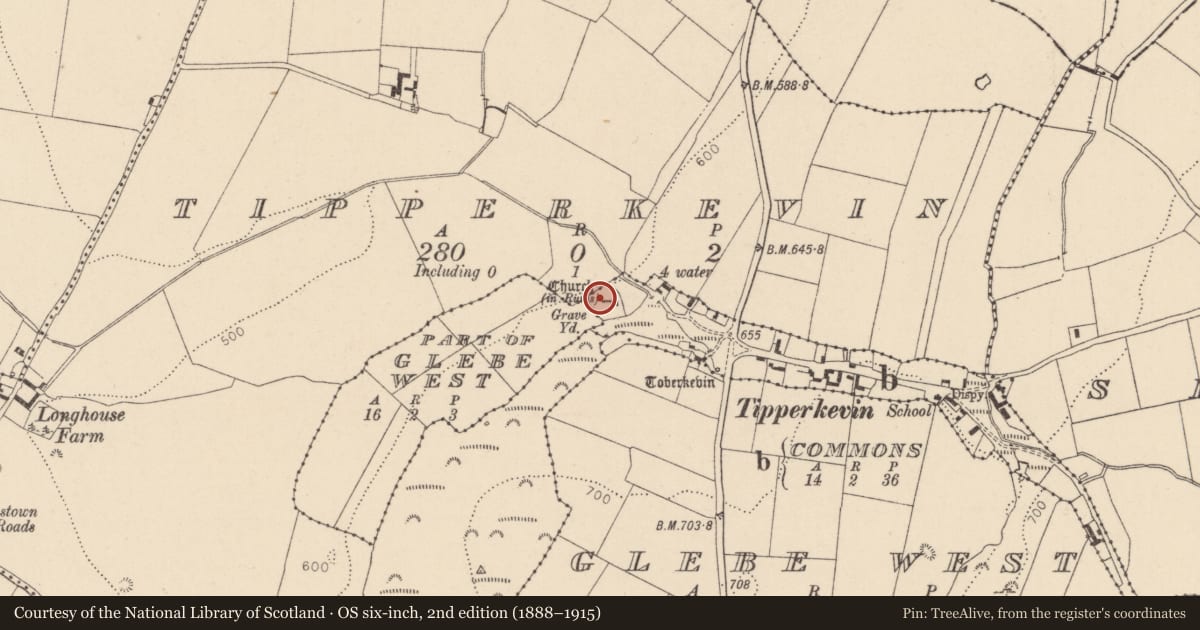 Ordnance Survey six-inch map, 2nd edition (1888–1915) covering the location of Cross-slab, Commons, County Kildare, with a pin at the register's coordinates